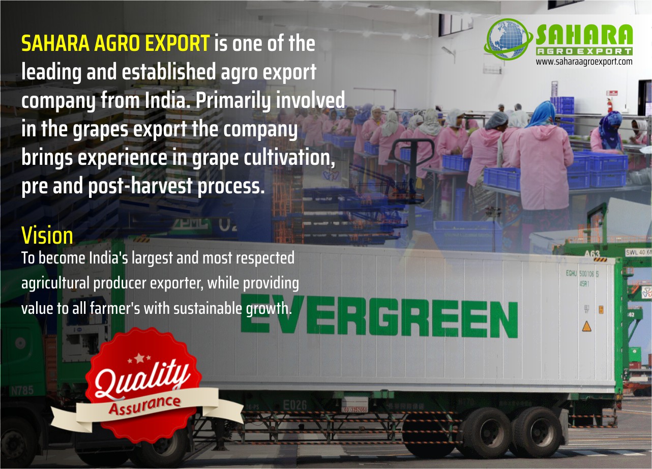 Sahara Agro Export